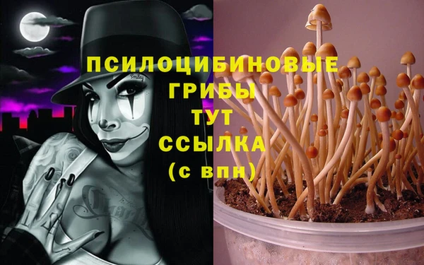 jwh Богородицк