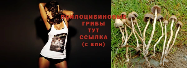 мефедрон мука Богданович