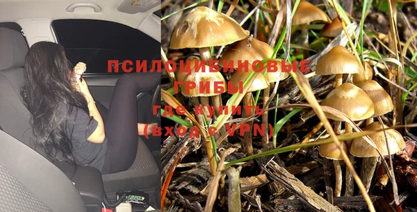 jwh Богородицк